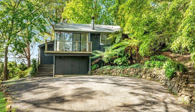 Ribbonwood, Kangaroo Valley