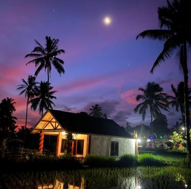 Rice Field inn - Lombok