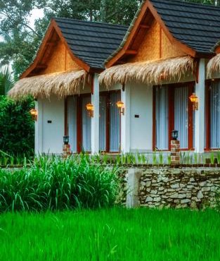 Rice Terrace Bungalows