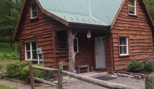 Rickett's Glen state Park! Our cabin is only 1/2mile from the trail head.