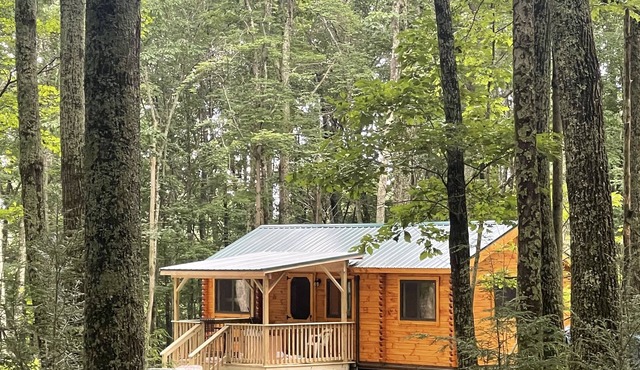 Ricketts Glen Fern View Cabin