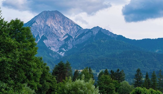 Ride the free SEA airport shuttle to our hotel in Seattle