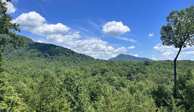 Ridgetop Landing - Mother's Day Getaway