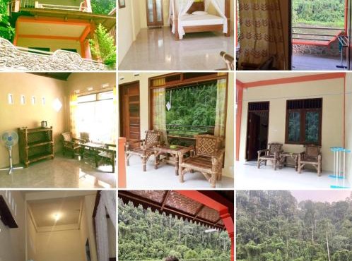 Ridho's Homestay & Jungle Trekking