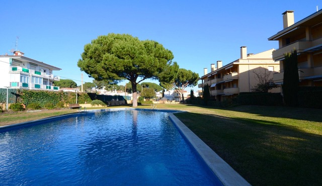 RIELLS BLAU C302