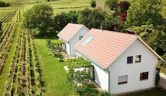 Riesling cottage for 2 to 8 people, ideal for families,