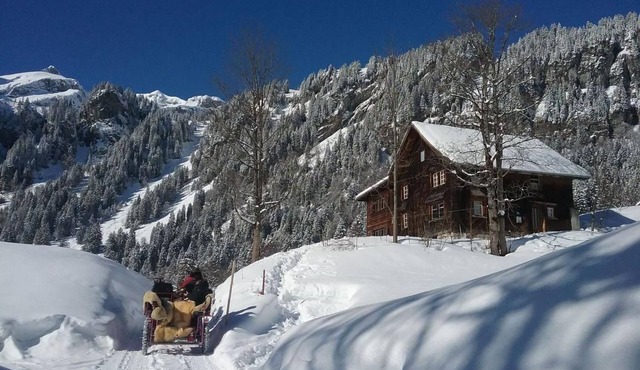 Rietberg 8 Braunwald by Interhome