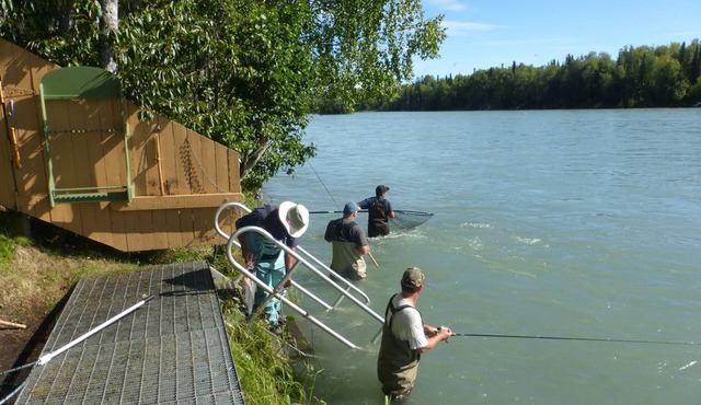 Right on the Kenai River! Comfortable condo great for fishing or sightseeing