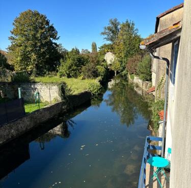 Right on the river- 4 bedroom house centre of town