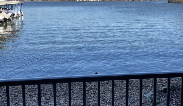 Right on the Water! 21.5 mm