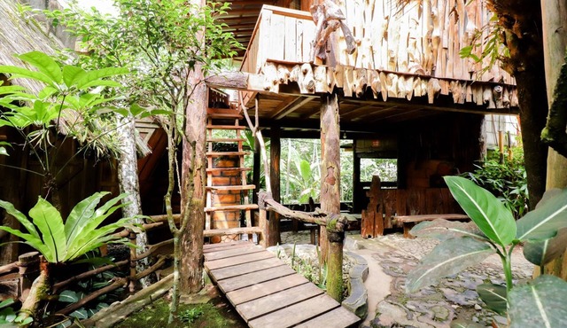 Rimbono Homestay