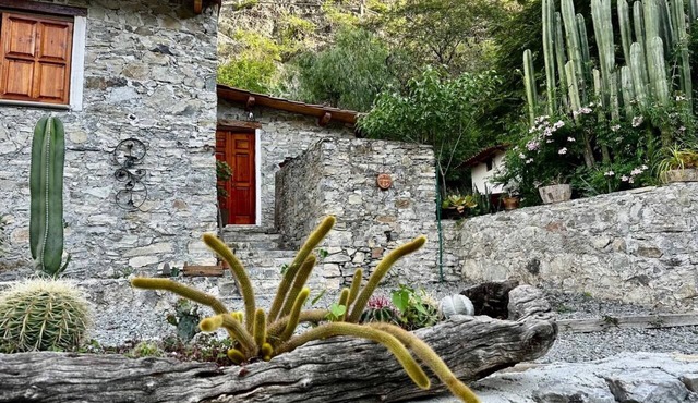 Rincón Metztitlán Hidalgo Cabins