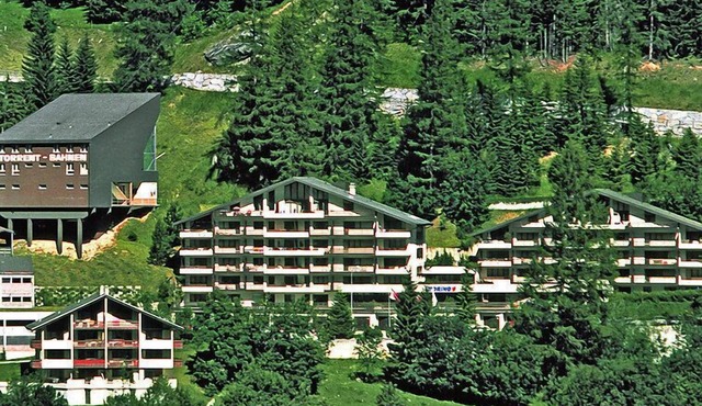 Ringstrasse Apt 312 by Interhome