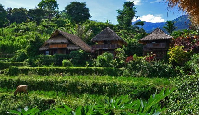 Rinjani Mountain Garden