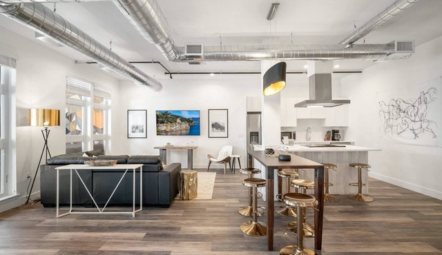 RiNo Art Lofts- Skyline Views!