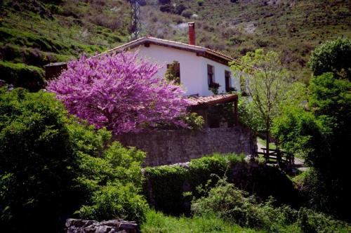 Riojania Traditio Mountain