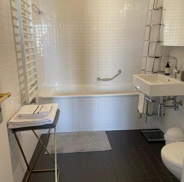 Rive Lake Rhône Flat in Geneva