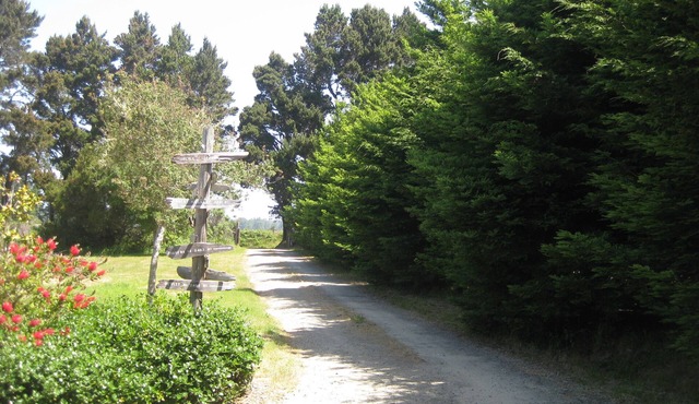 Riventides: North Coast Delight