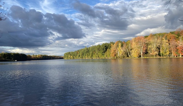 River Bank Camping, Cedar Grove Cabin