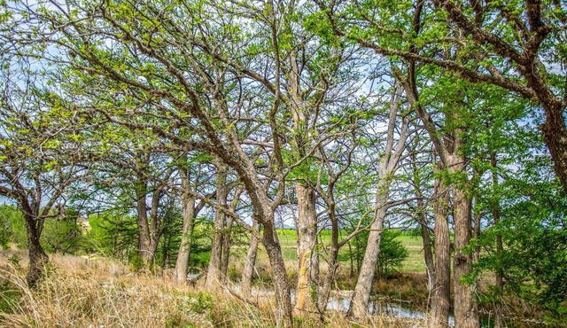 River Bend Hideaway on Medina