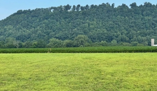 River Bluff Getaway- Entire Home/4BR, 3BA/Bluff Views, 2 Kitchens, 2 Laundry