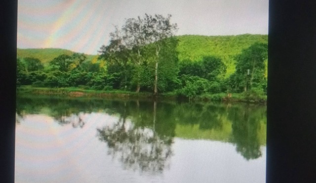 River Bungalow in lovely Dunn's Eddy, Youngsville with AC, WiFi & Fire ring.