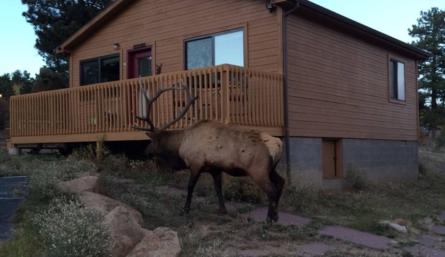 River Cabin - Close to Downtown, YMCA, and R.M.N.P.