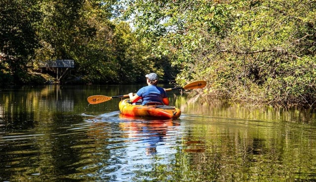 River Cabin | Fire Pit, Kayaks, Games, Dog Park