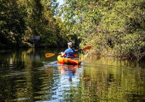 River Cabin - Fire Pit, Kayaks, Games, Dog Park