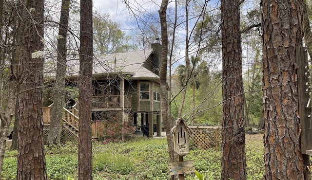 River cottage on the wild and scenic Santa Fe River in High Springs, Florida.