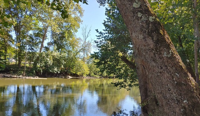 River Cottage on the Banks of the Mohican River, Couples Retreat, Hike, Firepit