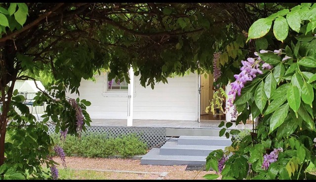 River Cottage perfect for your stay over in Coonabarabran. 200m from Main Str.