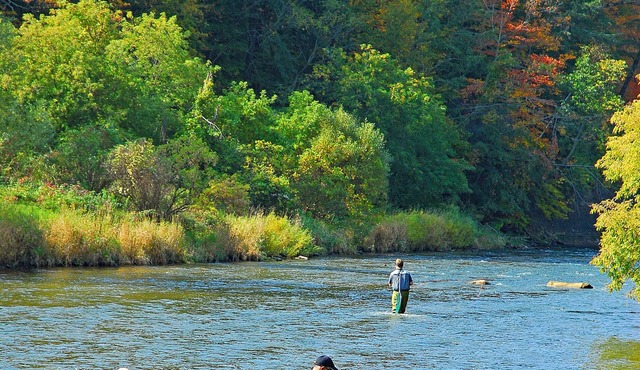 RIVER FRONT, 1-Acre, Hot Tub, NEW Home, NEAR UNIVERSITY and GREEN BLUFF