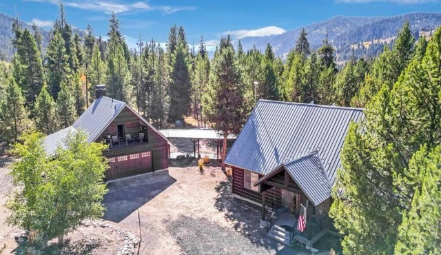 River front cabin surrounded by national forest with outdoor living space