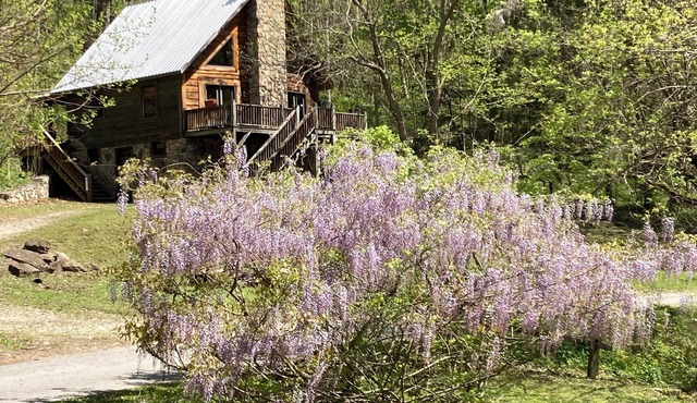 River Front property in the New River Gorge National Park on the New River