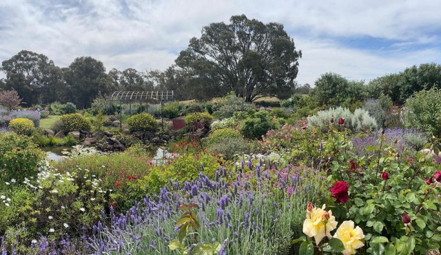 River Gardens Axedale Pet Friendly Farmstay B&B