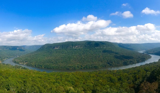 River Gorge Condo! Mountain and River Views! 10 minutes from Downtown Chatt!