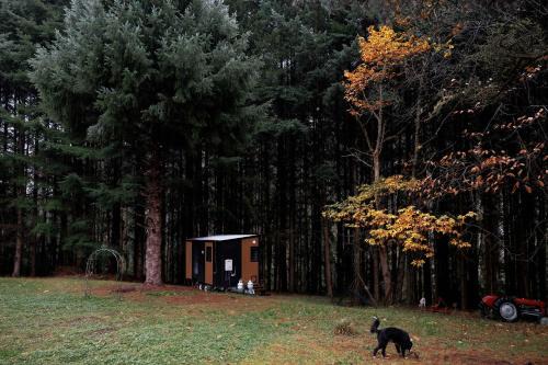 River Haven Tiny House by Tiny Away