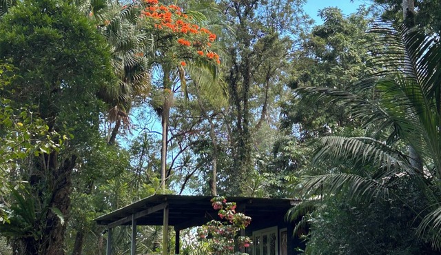 River House (aka Federal Hilton) - Byron Bay Hinterland holiday cottage