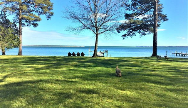 River House looking at the Chesapeake Bay/MONTHLY RENTAL
