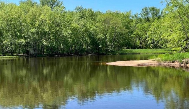 River House on 4 acres! Bring the dog!