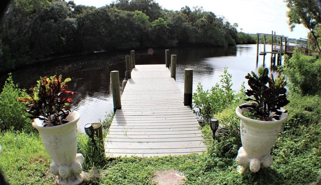 River Jewels and Pearls