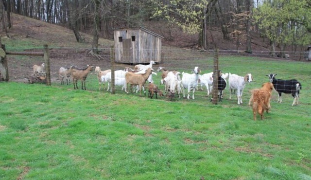 River Lane Cottage 1 Bedroom