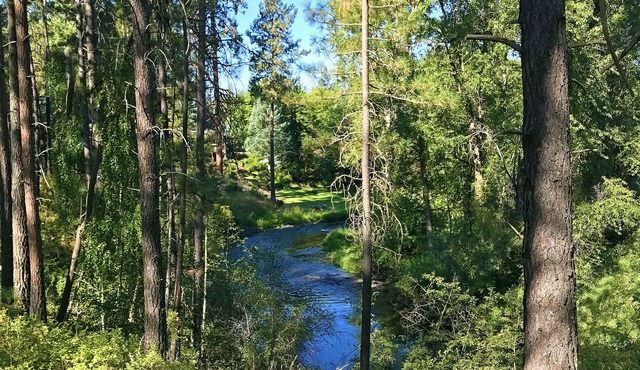 RIVER PARK HOME with GARAGE & EV CHARGER, Spa, Home Theatre + Arcade, 3,000 SqFt