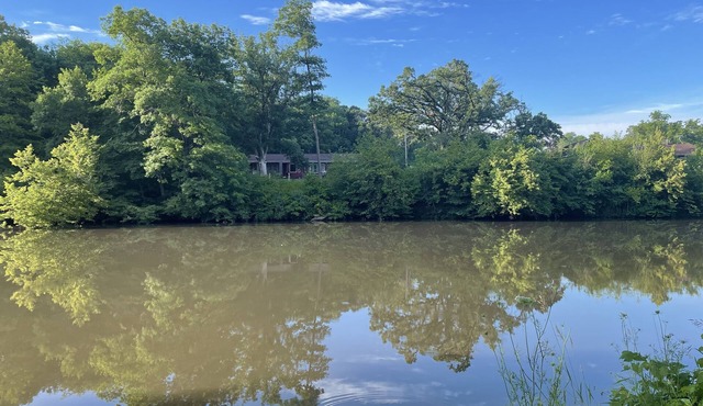 River Retreat in Mid-Modern Home in Park Setting