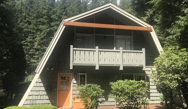 River's Edge Chalet! Watch Eagles, Ski, Kayak, Hike, Shop!