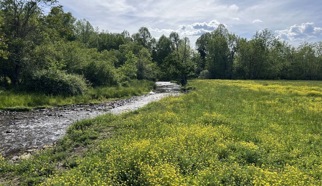 River Stone Farmhouse on 35 acres with trout stream