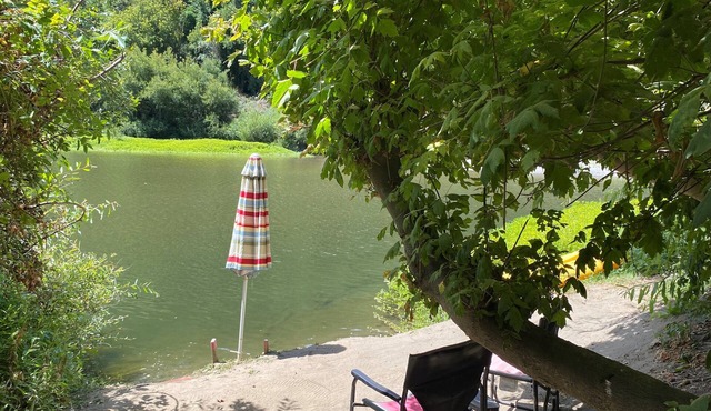 River Time ~ Come Stay on the River! Access to Park, Riverfront, In Town