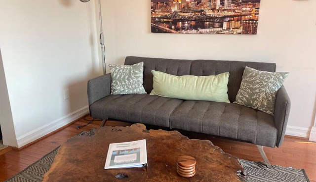 River View 1-bedroom house with WiFi Close to Downtown & Stadiums