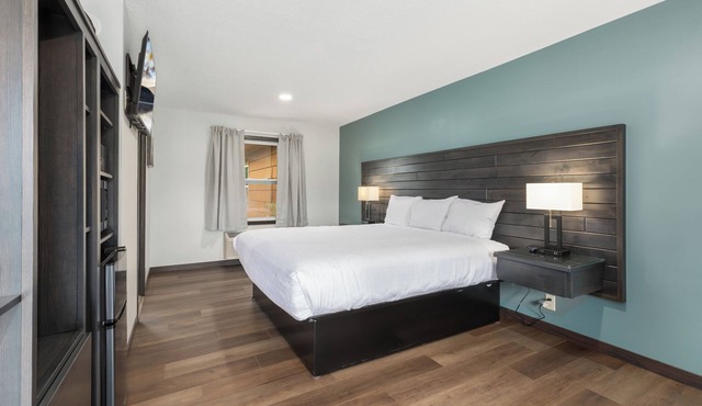 River View | Modern Lodge | WiFi | Pets OK!
